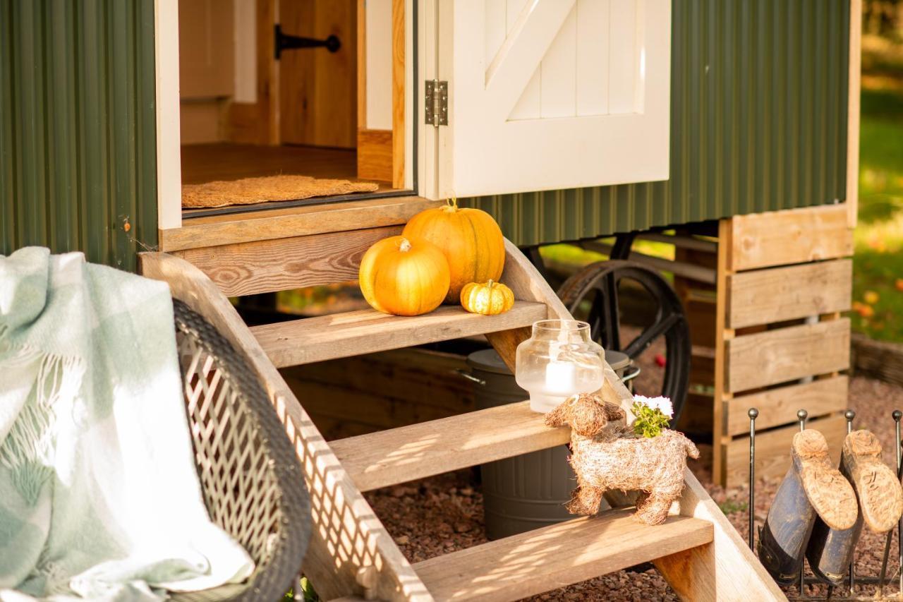 Harrys Hideout - Shepherd'S Huts At Harrys Cottages Pen-y-Clawdd Extérieur photo